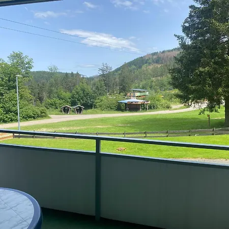 Apartment, Hahnenklee